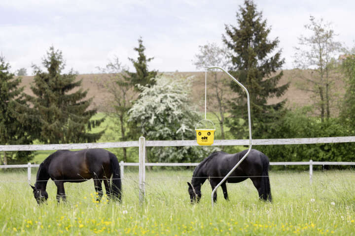 cit Fliegenfalle FlyCage inklusive Lockstoff